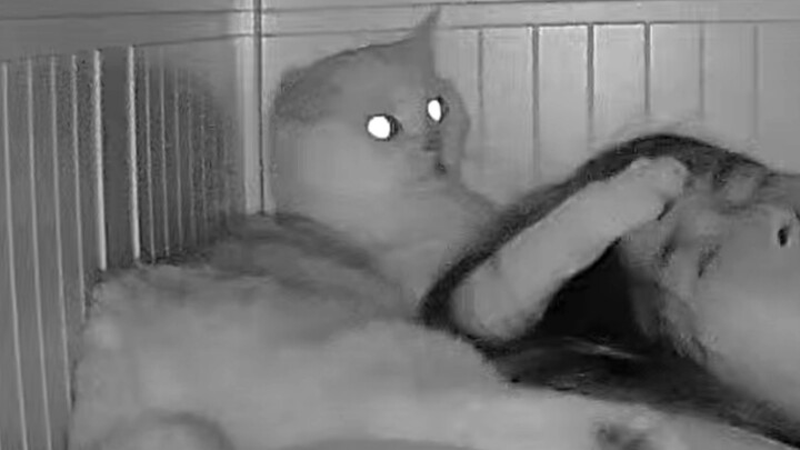 Bảo… có khi nào bây giờ đã là mùa hè rồi không nhỉ?