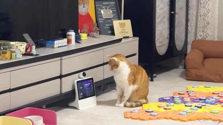 Chả muốn cho nó chơi đồ điện tử tí nào: cứ thấy nút là lại xem hoạt hình, gọi điện; vừa thu hồi cái 