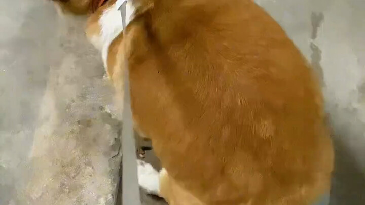 Aku buka kunci pantat, coba deh, kamu takut nggak!!