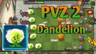 PVZ 2, Dandelion