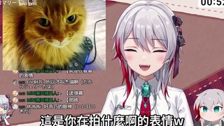 炫耀自家可爱猫猫时也很可爱的日本天然小姐姐