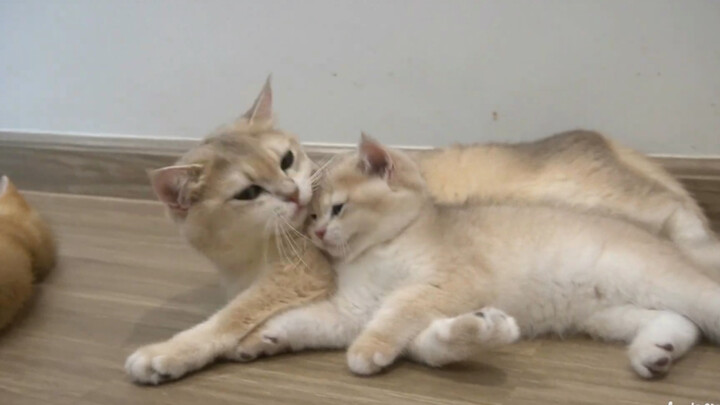 No matter how old you are, you’re still Mom’s little baby.