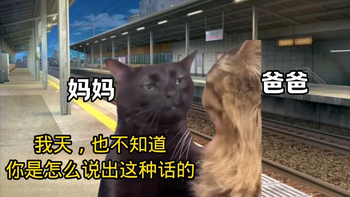 [Meme Kucing/Postingan] Mama, terima kasih atas pilihanmu dulu