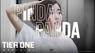 Introducing: pindaPanda