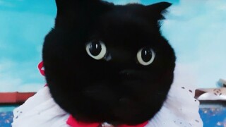 Ai nói nanami OK hơn, tôi hay Qian Suisui?