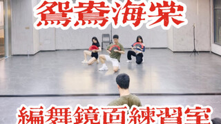 【白小白】《鸳鸯海棠》中国风爵士编舞镜面练习室