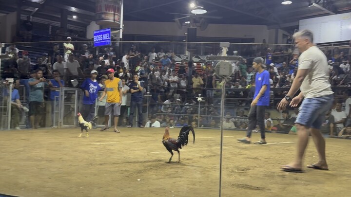 1st fight loss 2hits pilar coliseum 6-28-25