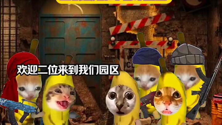 Khi tôi bị lừa vào khu công nghiệp điện chiên