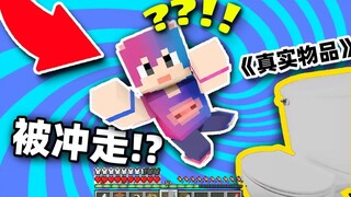 Kapan Minecraft menambahkan item "dunia nyata"!!?