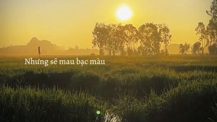 :))