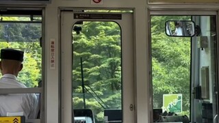 I went to Japan for 15 days alone