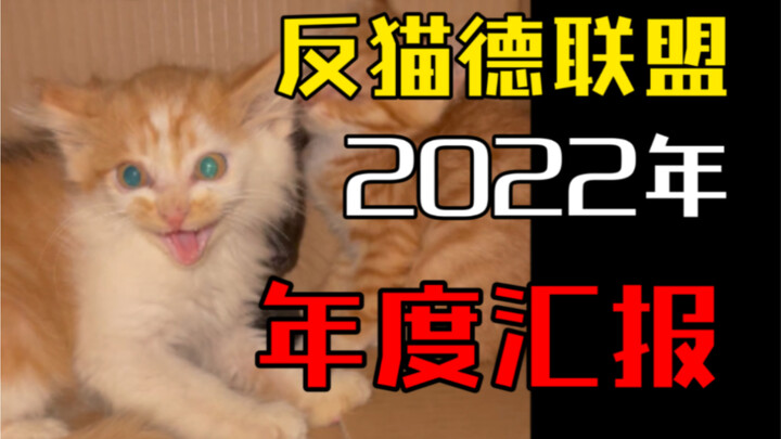 تقرير تحالف مكافحة الكات ديرد في عام 2022