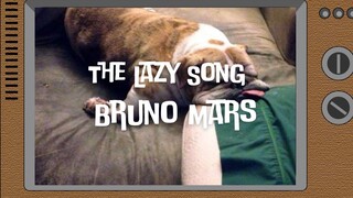 【Vietsub】The Lazy Song - Bruno Mars