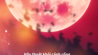 tôi nghĩ ai cũng thích bộ này #klaxxamv #amvedit