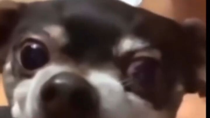 শান্তিতে একটু ঘুমাইতেও পারি না(720P_HD)