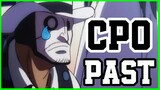 The Tragic Lives Of Cipher Pol Zero - One Piece Discussion | Tekking101