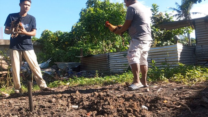 pumpkin sweater father and son sayaw