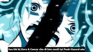 Sự Xuất Hiện Của Aokiji Tại Wano_ – Yamato Và Nhật Ký Hải Trình Của Oden