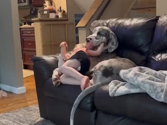 Tangkapan Terbalik Si Gadis Kecil