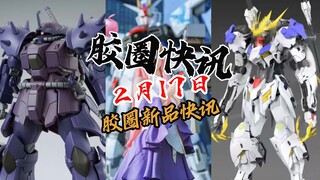 【2月17日胶圈快讯】