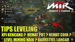 Tips Leveling di Mir M - Hemat Pot, Hemat Coin ,Level mining naik,Darksteel Jalan ? Pake Cara ini