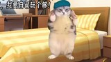【Cat meme】A gloomy and depressed female loser's decadent daily life at home after the Chinese New Ye