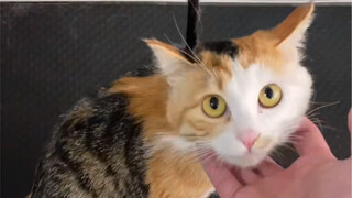 真是一言难尽难以启齿