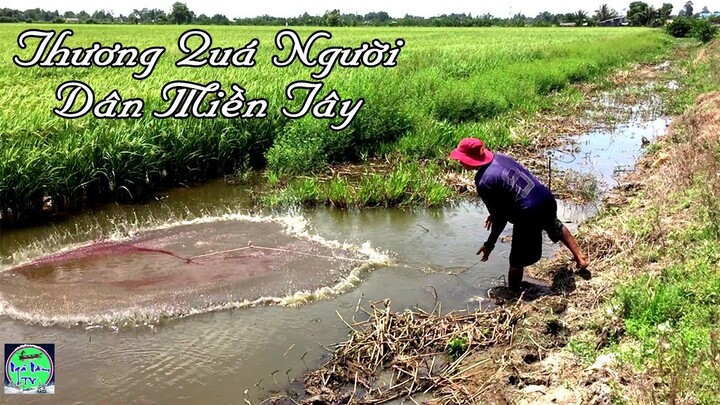 vợ chồng bác nông dân đi chài bắt cá đơn sơ mà hạnh phúc | NGÃ NĂM TV