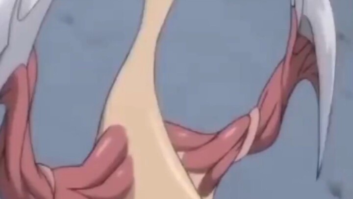 nemo