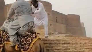 fatty man vs camel  riding 🤣🤣