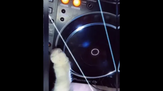 น่ารักก