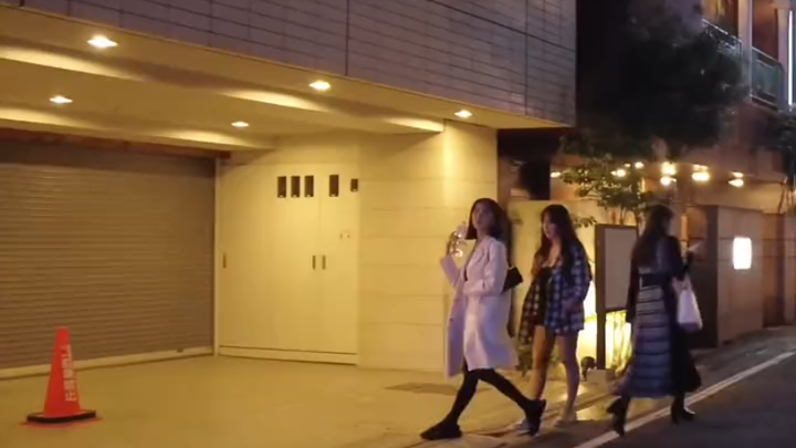 ทิวทัศน์ยามค่ำคืนของญี่ปุ่น