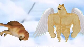 A zombie apocalypse will break out in 7 days, and you can simulate your survival situation here.