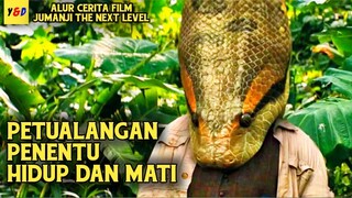 Petualangan Penentu Hidup Dan Mati - ALUR CERITA FILM Jumanji The Next Level