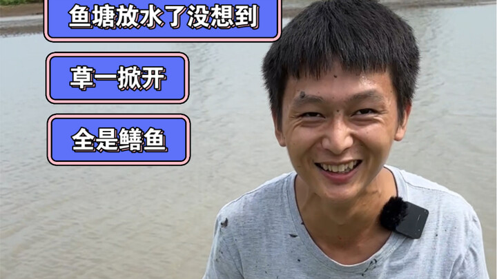 Kolam ikan sudah dikeringkan, semua belut bersembunyi di bawah rumput. Begitu rumputnya diangkat, ha