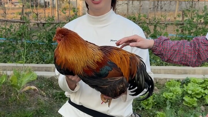 Topik makan malam Tahun Baru Imlek jadi semakin banyak!