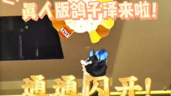 The super-long, pure-aisle version of Pigeon Zemo you’ve been waiting for is finally here!!! Hurry u