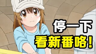 牛逼疯了！2021一月新番毒奶推荐！