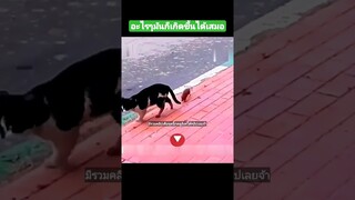 อะไรๆมันก็เกิดขึ้นได้เสมอ