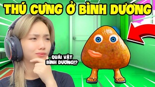 Lần Đầu Nhận Nuôi THÚ CƯNG Nhưng Ở BÌNH DƯƠNG ?