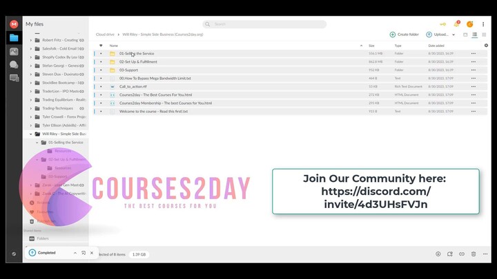 Will Riley - Simple Side Business