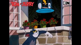 tom and Jerry