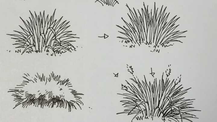 Cách vẽ nét của cỏ, bạn nào muốn xem cách vẽ cỏ thì nhanh tay lưu lại nhé!
