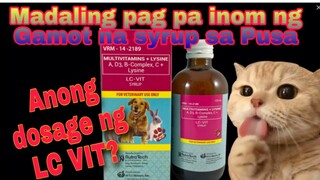 MADALING PAG PAPAINOM NG GAMOT SA PUSA / LC VIT LYSINE DOSAGE #howtoforcefeedmedicine #lcvit