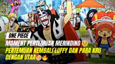 Pertemuan Teman masa kecil Luffy😖🔥