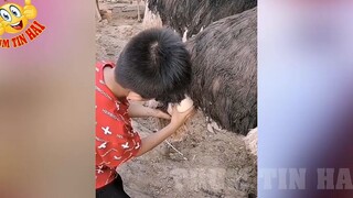 Tổng Hợp Tình Huống 'HÀI HƯỚC NHẤT ' Đảm Bảo KHÔNG CƯỜI KHÔNG LẤY TIỀN P316 _ Tr