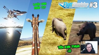 Flight Simulator 2020 #3 | CHUYÊN MỤC THẾ GIỚI ĐỘNG VẬT PHIÊN BẢN LỖI !