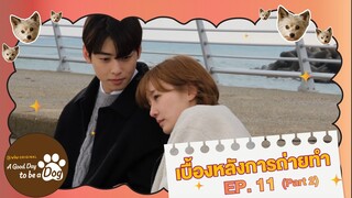 [ซับไทย] เบื้องหลังการถ่ายทำ EP.11 (Part 2) | A Good Day To Be A Dog | #ดูได้ที่Viu