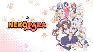 Nekopara - Tập 1-12 [Việt sub]