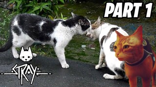 Pusang Gala pero walang away | Stray - Part 1